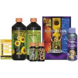 Bloombastic Box Ata/Terra